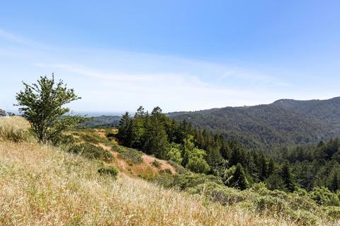 12 Washington Park Ave, Mill Valley, CA 94941 photo 36