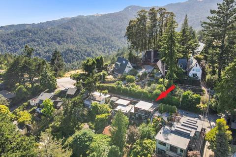 12 Washington Park Ave, Mill Valley, CA 94941 photo 33