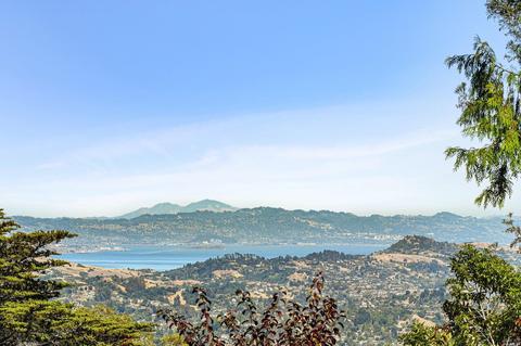 12 Washington Park Ave, Mill Valley, CA 94941 photo 35