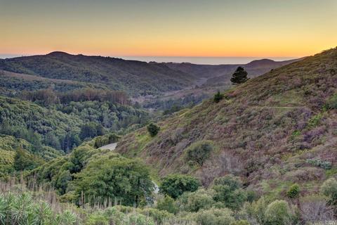 12 Washington Park Ave, Mill Valley, CA 94941 photo 40