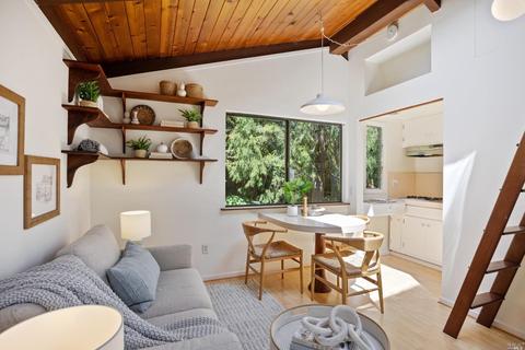 12 Washington Park Ave, Mill Valley, CA 94941 photo 22