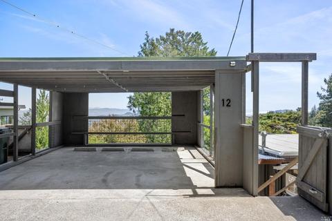 12 Washington Park Ave, Mill Valley, CA 94941 photo 32