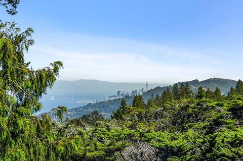 12 Washington Park Ave, Mill Valley, CA 94941