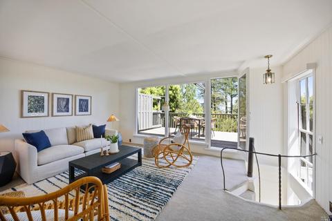 12 Washington Park Ave, Mill Valley, CA 94941 photo 3