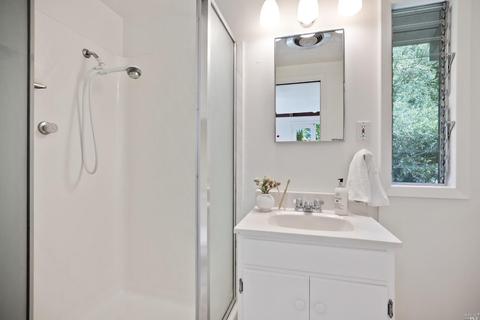 12 Washington Park Ave, Mill Valley, CA 94941 photo 26