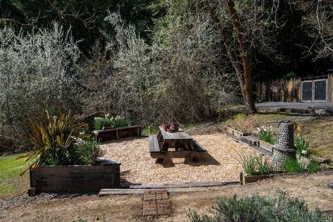 575 W Mendocino Ave, Willits, CA 95490 photo 62