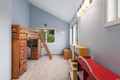 3575 Burnside Rd, Sebastopol, CA 95472 photo 20
