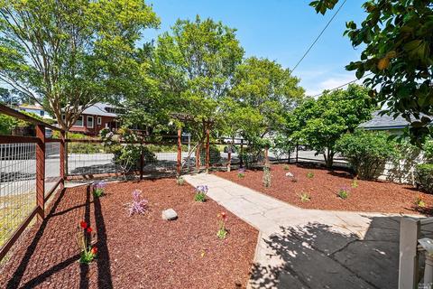 317 Bodega Ave, Petaluma, CA 94952 photo 30