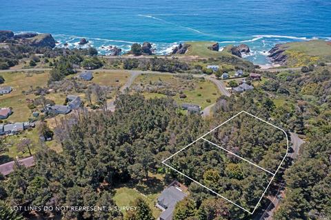 46701 Iversen Ln, Gualala, CA 95445