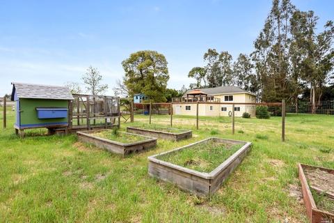 349 Ely Rd N, Petaluma, CA 94954 photo 39