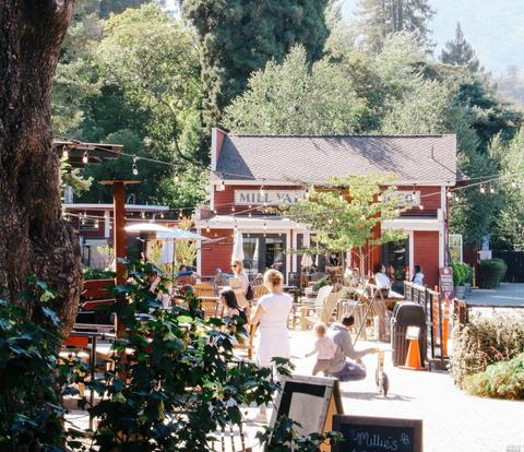 349 Jean St, Mill Valley, CA 94941 photo 30