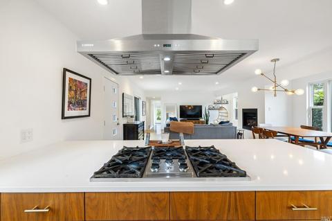 46 Mohawk Ave, Corte Madera, CA 94925 photo 21