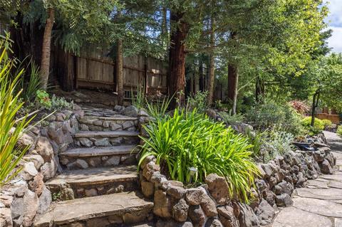 512 Browning St, Mill Valley, CA 94941 photo 31