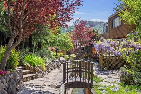 512 Browning St, Mill Valley, CA 94941 photo 29