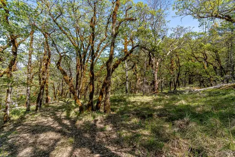 28500 Valley View Dr, Willits, CA 95490 photo 8