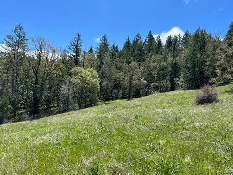 1101 Exley Ln, Willits, CA 95490 photo 13
