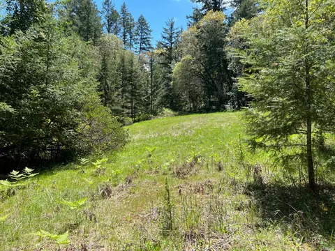 1101 Exley Ln, Willits, CA 95490 photo 17