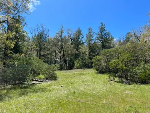 1101 Exley Ln, Willits, CA 95490 photo 33