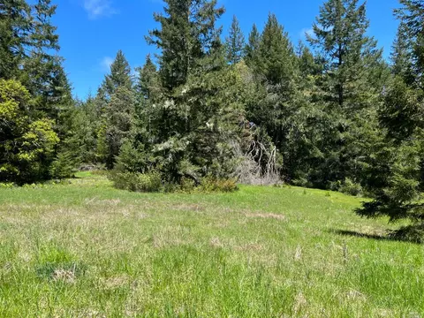 1101 Exley Ln, Willits, CA 95490 photo 18