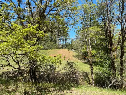 1101 Exley Ln, Willits, CA 95490 photo 26