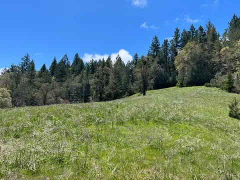 1101 Exley Ln, Willits, CA 95490 photo 11