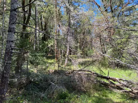 1101 Exley Ln, Willits, CA 95490 photo 9
