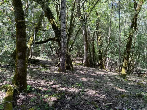 1101 Exley Ln, Willits, CA 95490 photo 20