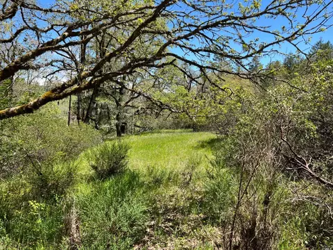 1101 Exley Ln, Willits, CA 95490 photo 27