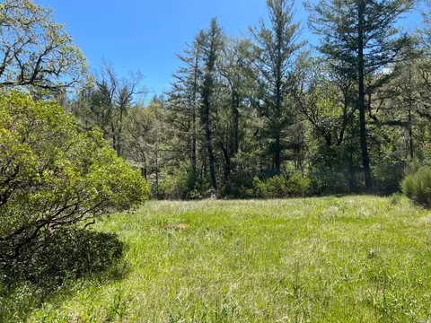 1101 Exley Ln, Willits, CA 95490 photo 31