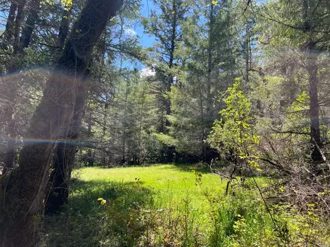 1101 Exley Ln, Willits, CA 95490 photo 7