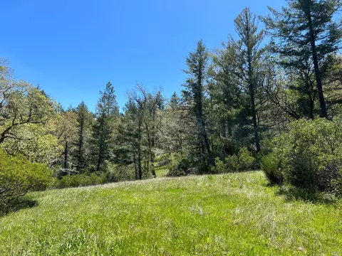 1101 Exley Ln, Willits, CA 95490 photo 28