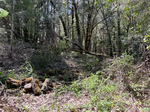 1101 Exley Ln, Willits, CA 95490 photo 3