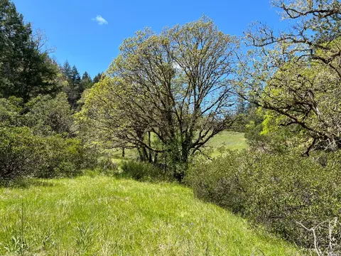 1101 Exley Ln, Willits, CA 95490 photo 30