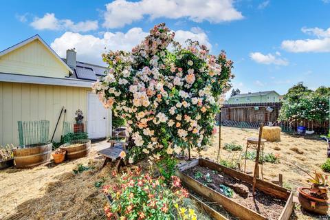 301 Mayo Ave, Vallejo, CA 94590 photo 83