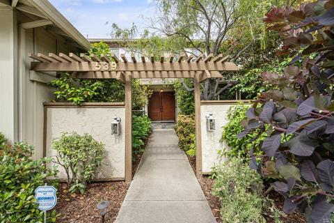 539 Bevans Dr, San Jose, CA 95129