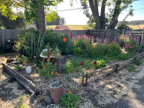 6355 Bodega Ave, Petaluma, CA 94952 photo 71