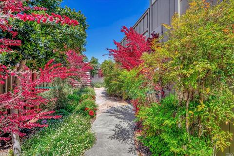 311 Northampton Dr, Windsor, CA 95492 photo 54