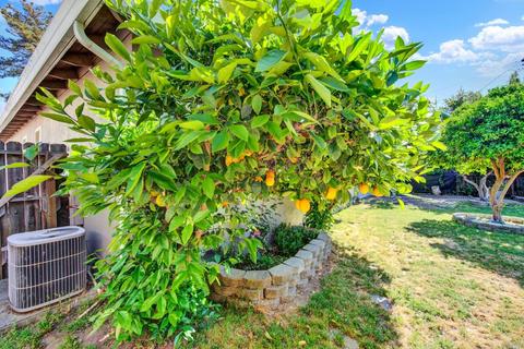631 W D St S, Dixon, CA 95620 photo 74
