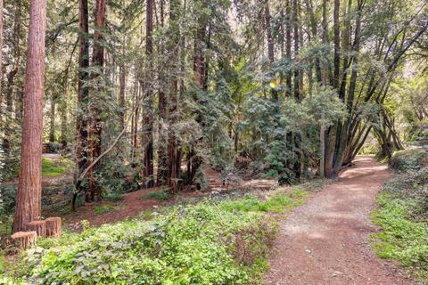 116 Corte Madera Ave, Mill Valley, CA 94941 photo 23