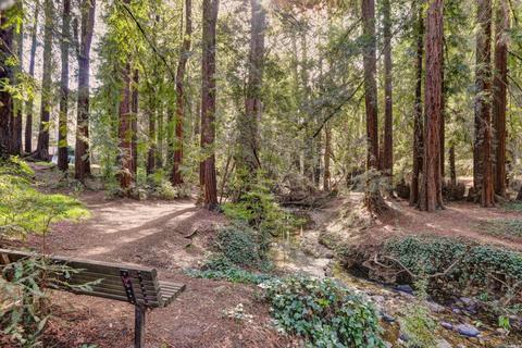 116 Corte Madera Ave, Mill Valley, CA 94941 photo 24