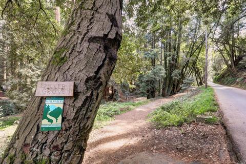 116 Corte Madera Ave, Mill Valley, CA 94941 photo 22