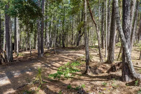 4800 Ridgewood Rd, Willits, CA 95490 photo 32