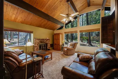 4800 Ridgewood Rd, Willits, CA 95490 photo 6