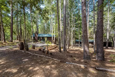 4800 Ridgewood Rd, Willits, CA 95490 photo 34