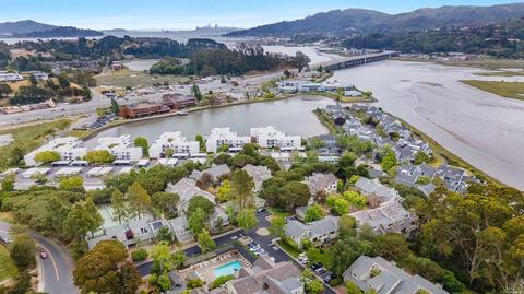 37 Eucalyptus Knoll St, Mill Valley, CA 94941 photo 36