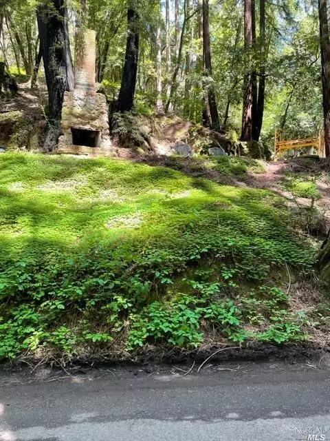 14724 Canyon 2 Rd, Guerneville, CA 95446
