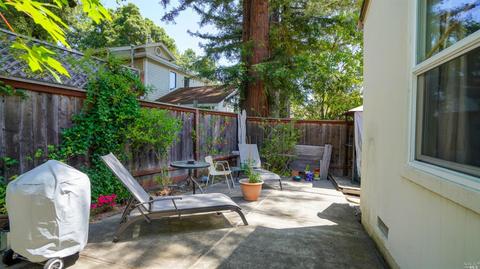 7620 Bodega Ave, Sebastopol, CA 95472 photo 22
