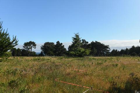 41123 Deer Trl, The Sea Ranch, CA 95497