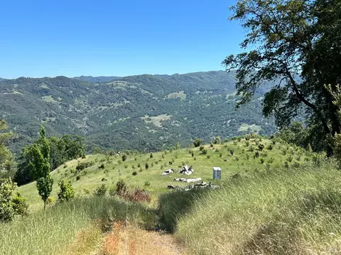 11100 Shigom Rd, Ukiah, CA 95482 photo 37