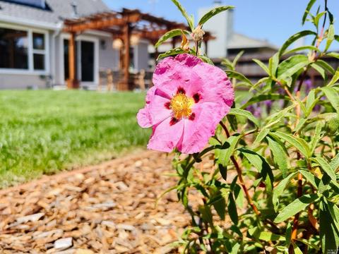 10 Granada Dr, Corte Madera, CA 94925 photo 39